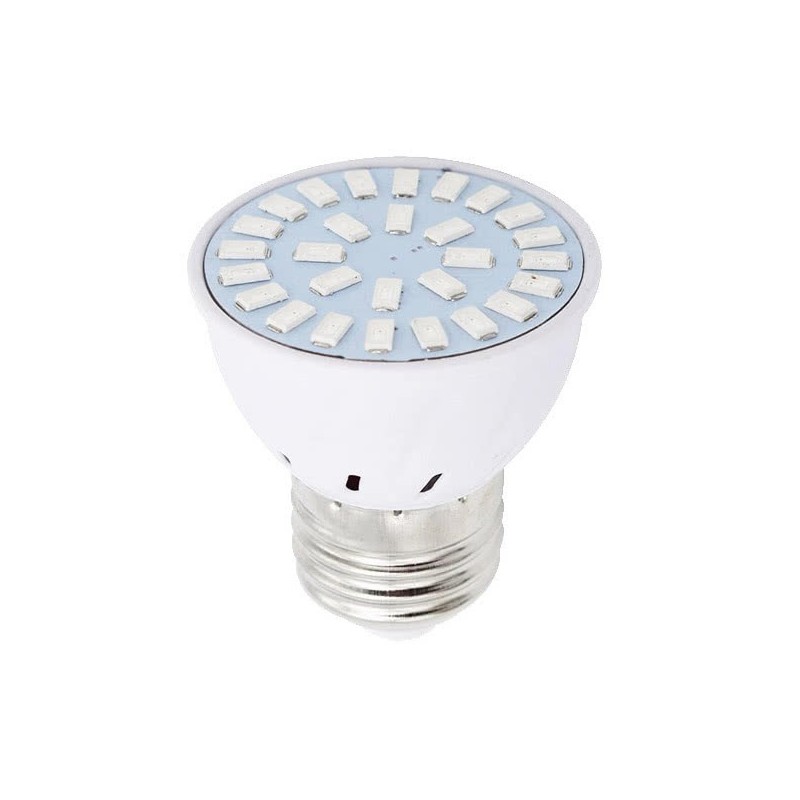 Guide d'achat d'une ampoule LED horticole - LED Horticole